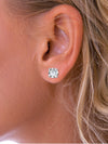 Cubic Zirconia Claw-Set Stud Earrings in Silver