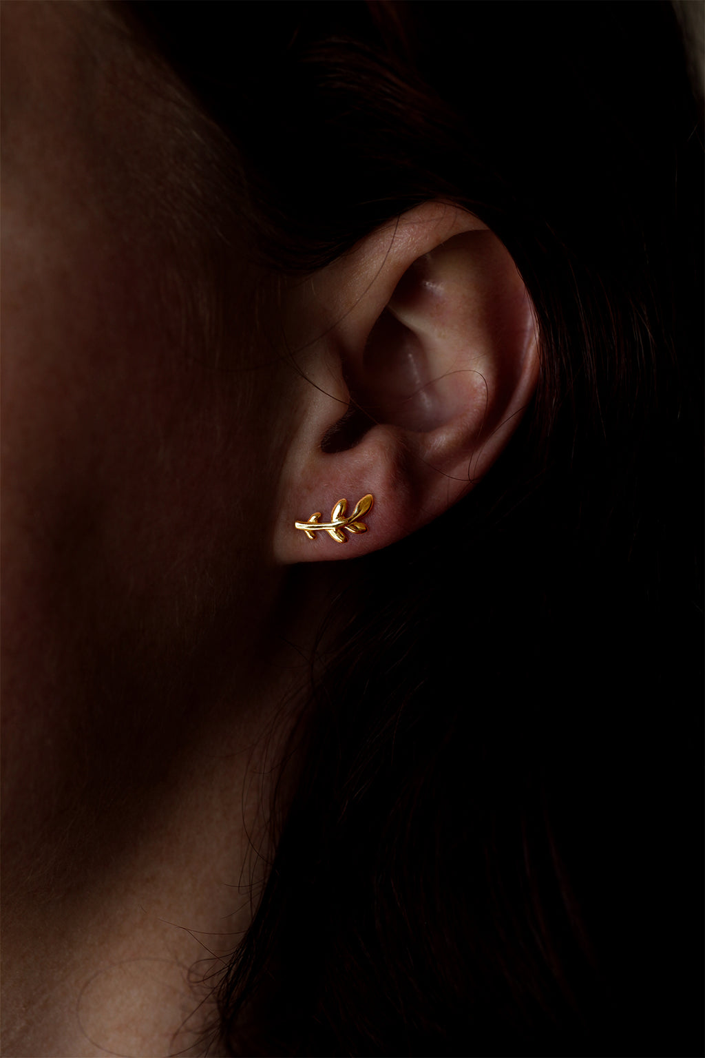 9ct Gold Earring Olive Branch Earrings
