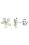 Silver daisy stud earrings / Nina B Jewellery